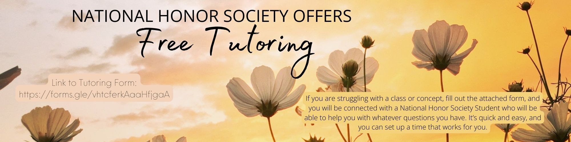 National Honor Society offers free tutoring